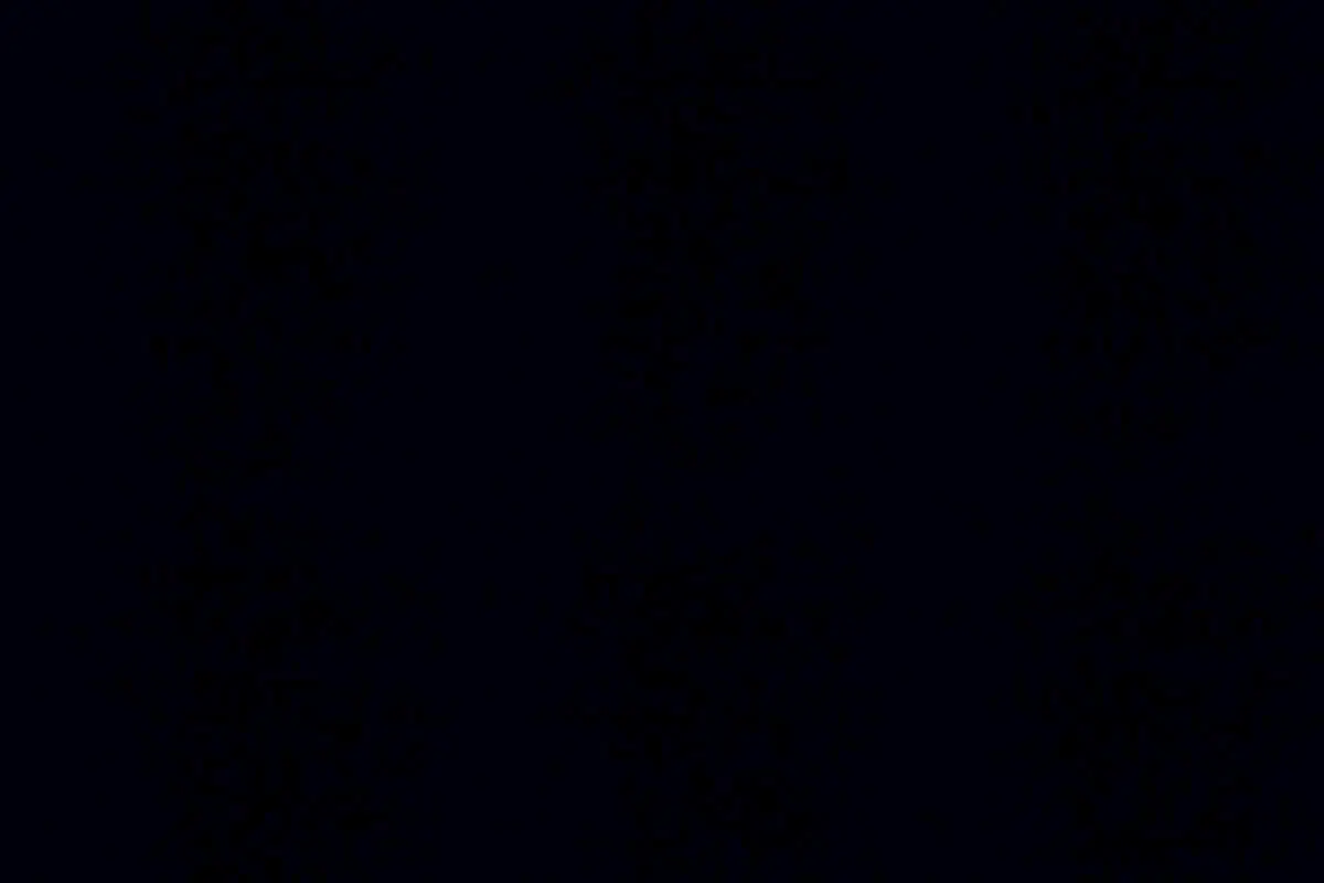 Negro.jpg